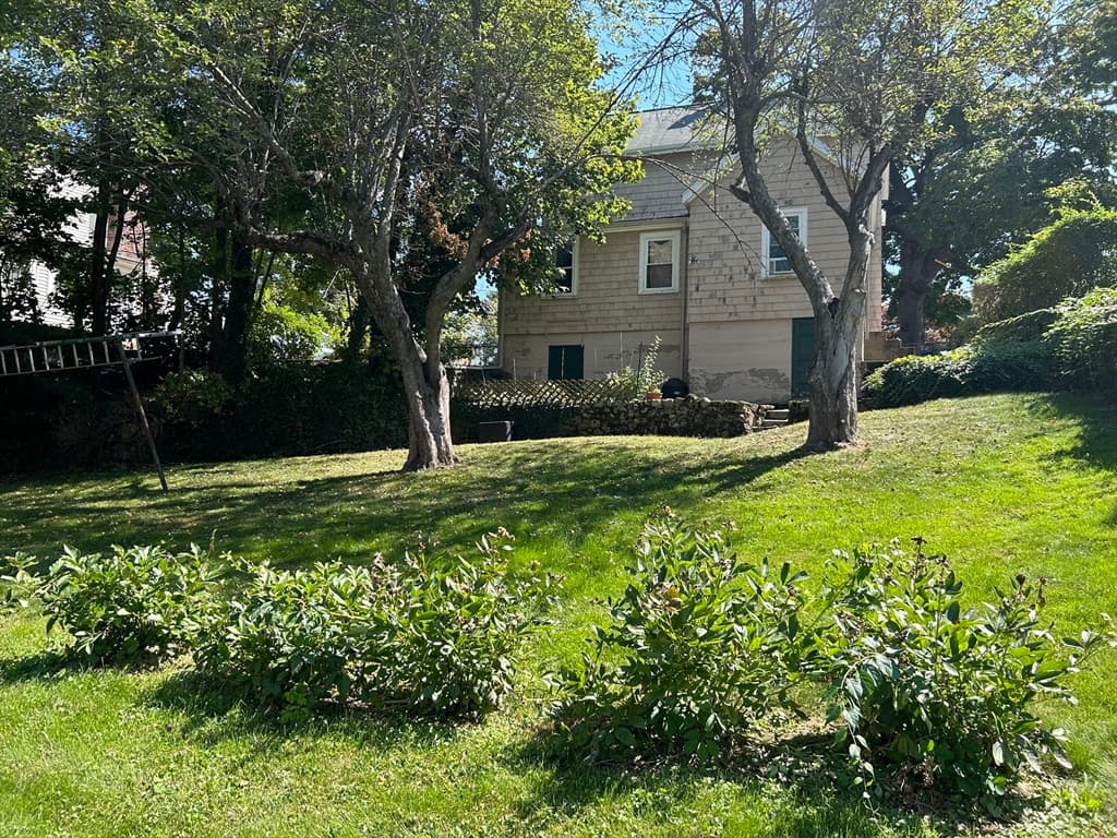 31 Emerald St, Newton, Massachusetts 02458 - Photo 2